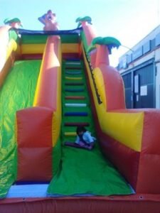 Castillo Hinchable Arca de Noe