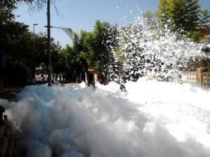 Fiesta de la Espuma