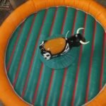 Alquilar Toro Mecánico para fiestas infantiles en Alicante