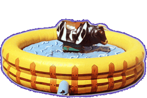 Toro Mecánico en Alicante