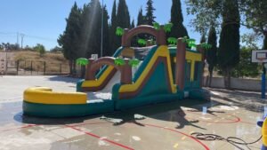 castillo hinchable selva